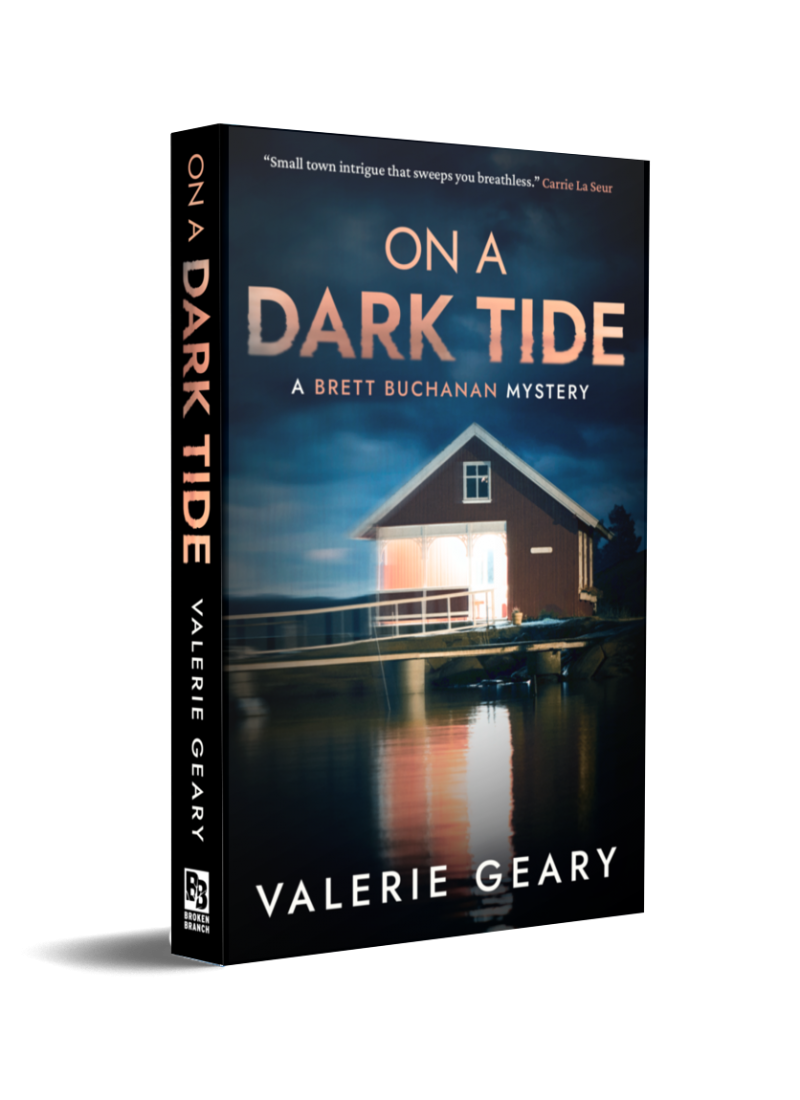 on-a-dark-tide-book